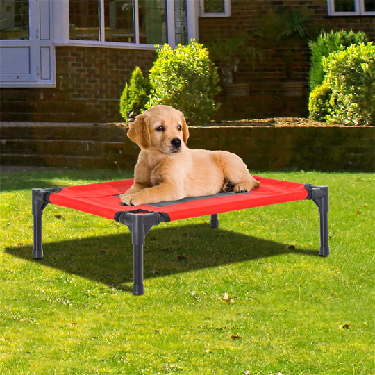 Morgantown Elevated Portable Cot in Red