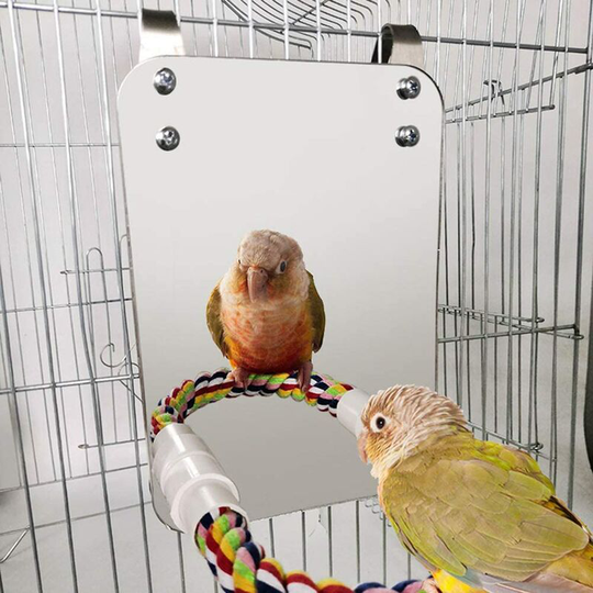 Stainless Steel Bird Stand, Swing Parrot Cage Toy Bird Cotton Rope Holder for Amazon Gray Parrot Conure