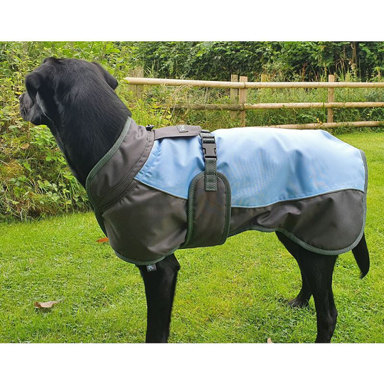 Henry Wag - Waterproof Dog Coat - Xsmall (35 Cm) Blue / Grey