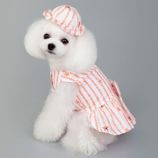 Spring and summer new pet clothes vertical strip with hooded princess dress Boomerang small and medium-sized pet clothing m (chest 37', neck 26',