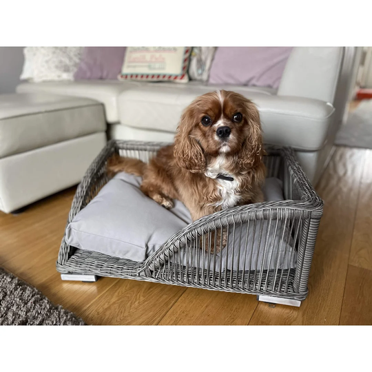 Exmouth Dog Sofa