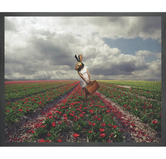 Flowers by Stefano Bonazzi - Picture Frame Graphic Art on Canvas