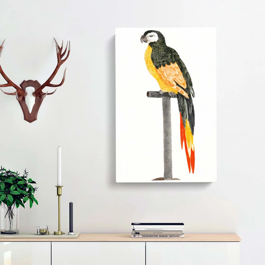 A Perched Parrot by Johan Teyler - Wrapped Canvas Painting Print
