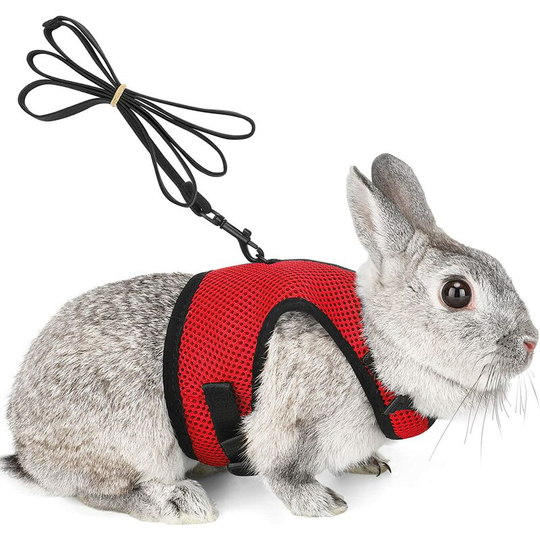 Harness for Rabbits Guinea Pigs Small Animals with Elastic Leash Soft Vest for Walking (s, Red)