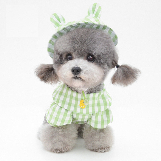 Benobby Kids - Ducky Plaid Shirt - Green Plaid m, Teddy Bichon Pomeranian Maltese clothes thin anti-soiling pumpkin pants for puppy girls and boys,