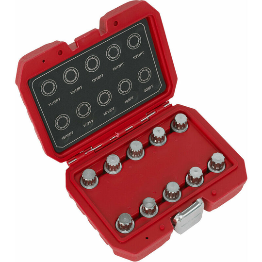 10pc Locking Wheel Nut Key Set - dealers & repair centres only - For bmw
