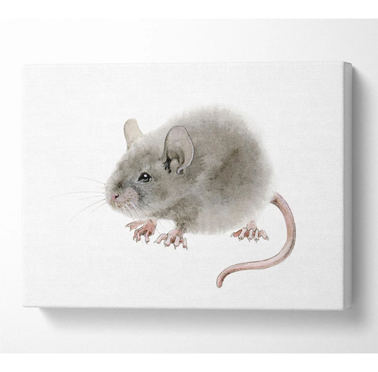 Cute Little Mouse - Wrapped Canvas Graphic Art