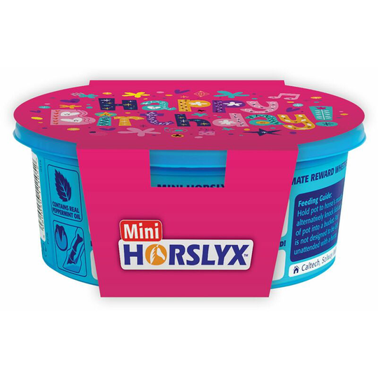 Horslyx - Mini Gift Sleeves Happy Birthday - 6 Pack - P914