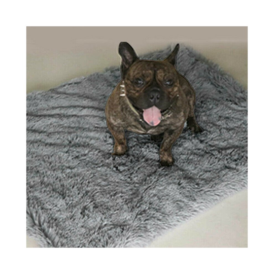 (Dark Grey, S£¨56*36cm£©) Pet Dog Puppy Cat Blanket Bed Soft Fluffy Warm Throw Mat Pad