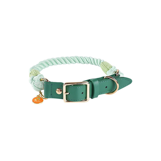 Premium Cotton Rope Dog Collar with Stainless Steel Pin Buckle Genuine Leather Collar(S, Mint Green)