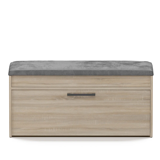 Modern Shoe Storage Cabinet