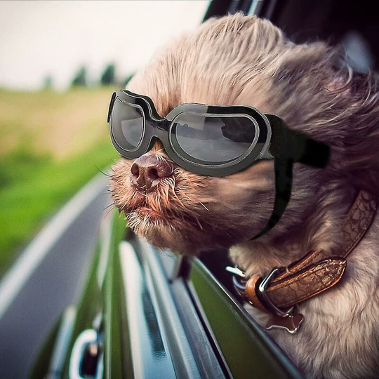 Dog Goggles For Small To Medium Dogs Uv Dog Sunglasses Windproof Wproof Doggy Glasses Puppy Eyewearwanan -Thsinde