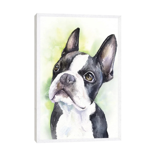 'Boston Terrier Puppy' by George Dyachenko - Floater Frame Painting Print on Canvas