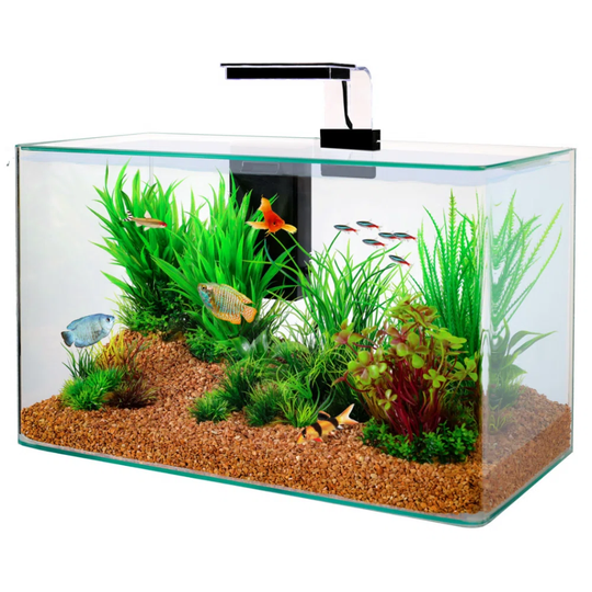 32L Aquarium Tank