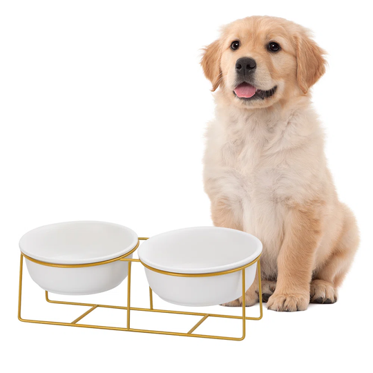 Leonardo Ceramic Raised Bowl Set with Stand