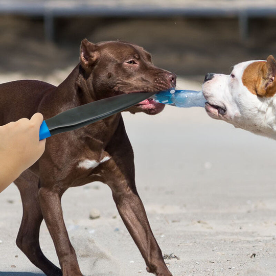 dog stick