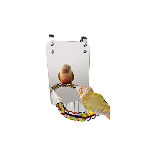 1 Piece Bird Acrylic Mirror Parrot Mirror Activity Standing Stick Chewing Toy Standing Stick