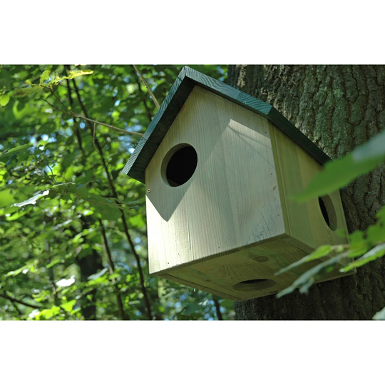 Alissandra Mounted Squirrel House