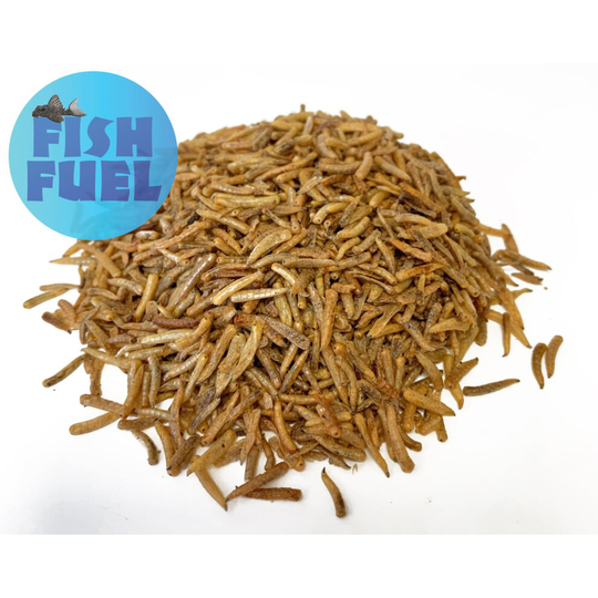 (100g) Fish Fuel Dried Maggots - Aquarium Colour Fish Food