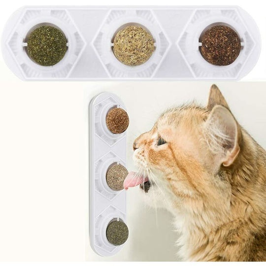 Catnip toys, edible catnip balls, safe and healthy catnip, family of cats chasing toys, cleaning teeth, protecting the stomach Read more