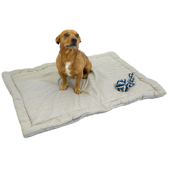 Robstown Dog Mat in Grey