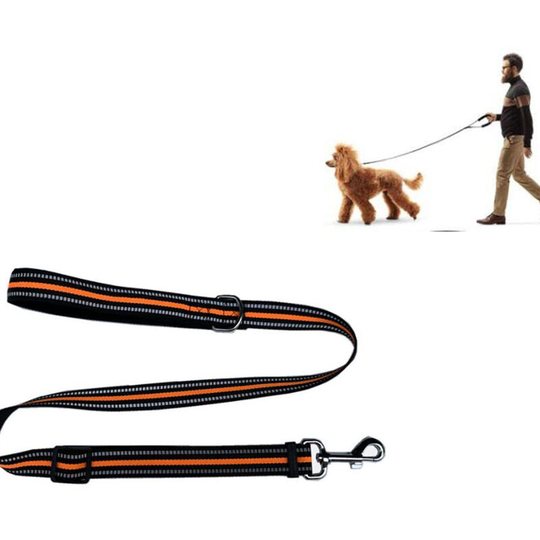 Dog Leash For Small to Large Dogs -120CM, Orange