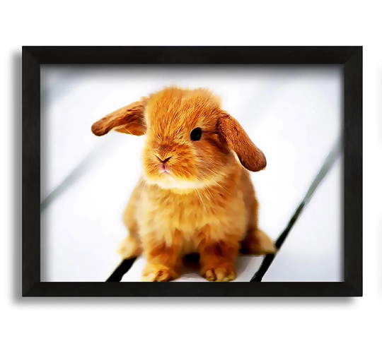 Bunny Rabbit Ears - Picture Frame Graphic Art on Canvas