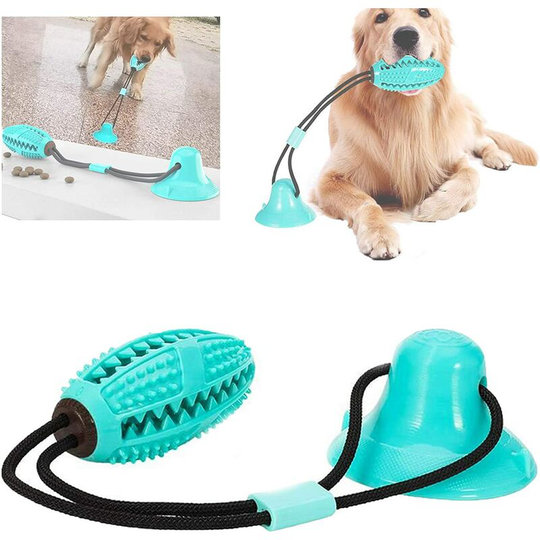 Devenirriche - Suction Cup Dog Toy, Molar Dog Toy with Suction Cup, Interactive Pet Molar Bite Toy for Small and Medium Dogs, for Molar Teeth Care