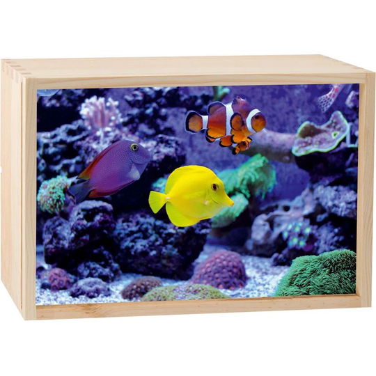 LED Light Box 30X20 Cm Aquarium