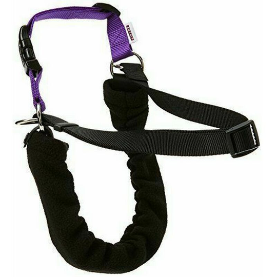 Pet Products Pure Dog Listeners Harness And Lead Set With dvd (Large) (Black) - Black - Ancol