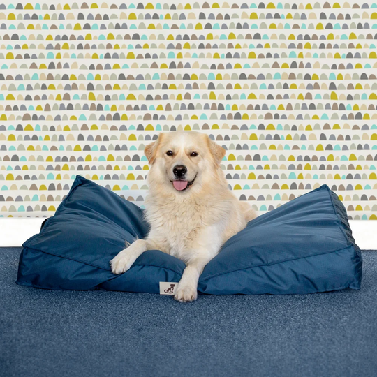 Joann Pillow in Blue