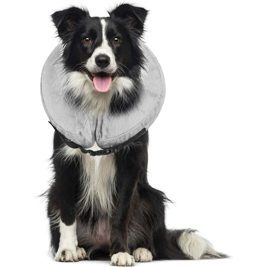 Inflatable Recovery Collar with Buckle for Dogs and Cats, Adjustable Protective Collar Comfortable Healing Cone for Dog(M)
