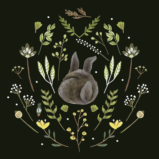 Bunny Field II