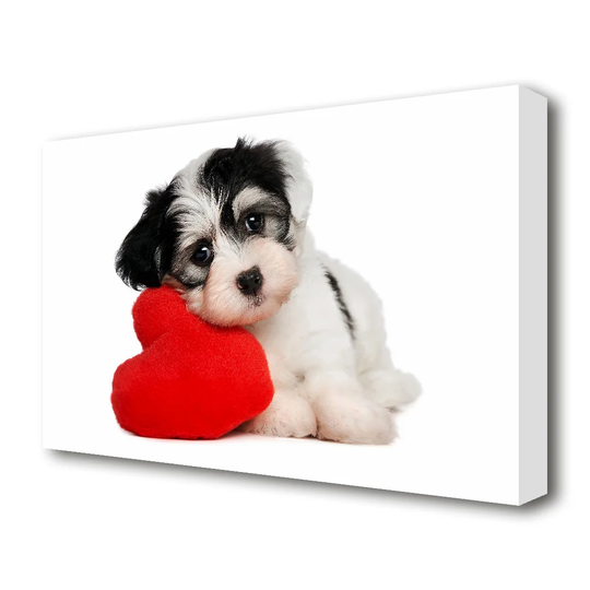 Puppy Love Wildlife - Wrapped Canvas Photograph Print