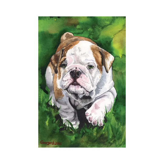 English Bulldog Puppy by George Dyachenko - Wrapped Canvas Painting