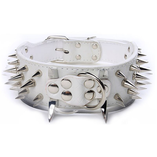 Spike Dog Collar - Fashionable Leather Dog Collar for Medium and Large Dogs