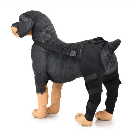 Pet Dog Hind Legs Protector Adjustable Knee Brace Leg Support for Injury and Sprain Protection Wound Healing m