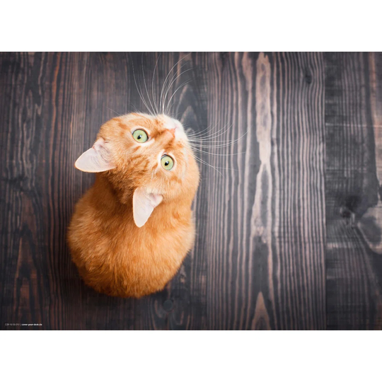 Cat Placemat