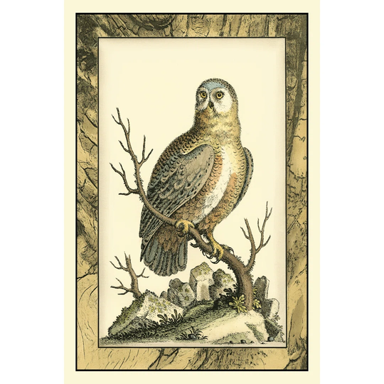 Majestic Perch I by Vision Studio - Wrapped Canvas Art Prints