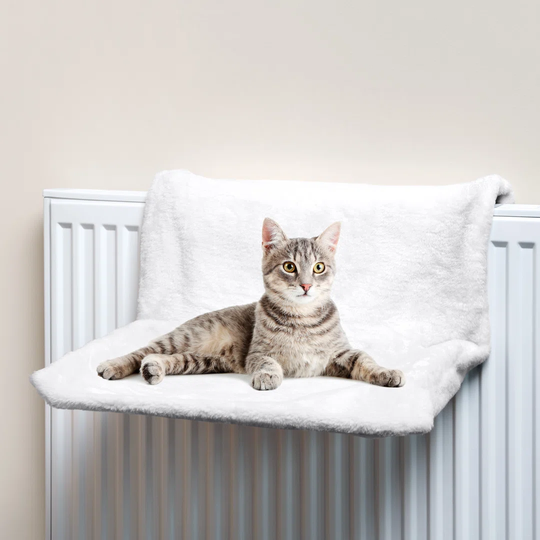 Margo Rectangular Radiator Bed
