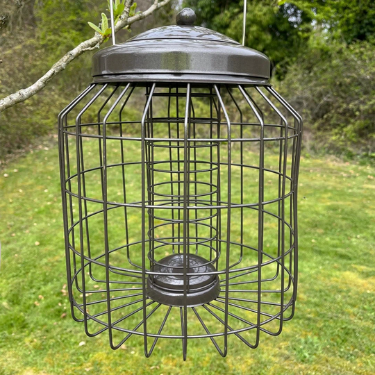 Grisella Suet Bird Feeder