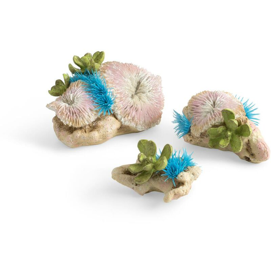 Biorb - Oase Decor Plate Corals & Button Polyps Set Of 3