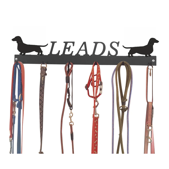 Alvild Wall Mounted Coat Rack