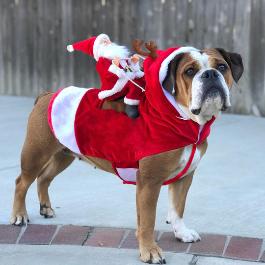Ilovemilan - Christmas Dog Costume Santa Claus Riding Pet Role Play Medium and Large Dog Costume (m Bust Adjustable 47-60cm)