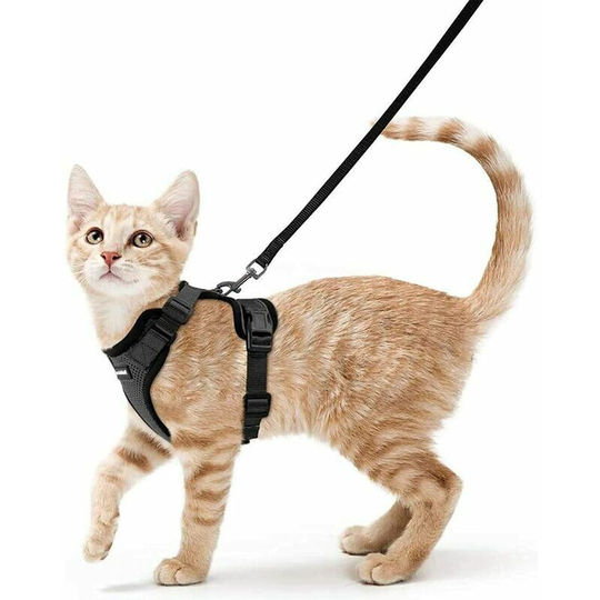 Monly - Cat Harness Small Dog Leash Adjustable Kitten Harness Black s Collar Reflective Cat Harness Breathable Vest for Rabbit, European Cat, Maine