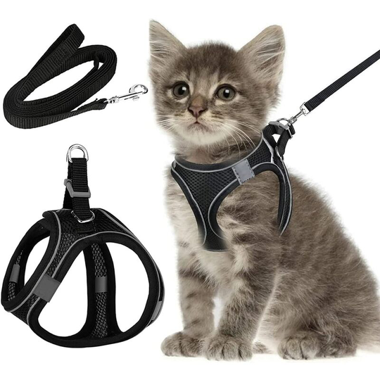 Cat leash with cat harness, cat harness with break-proof leash, cat harness, anti-hatching, cat harness, cat, kitten, dog, puppy