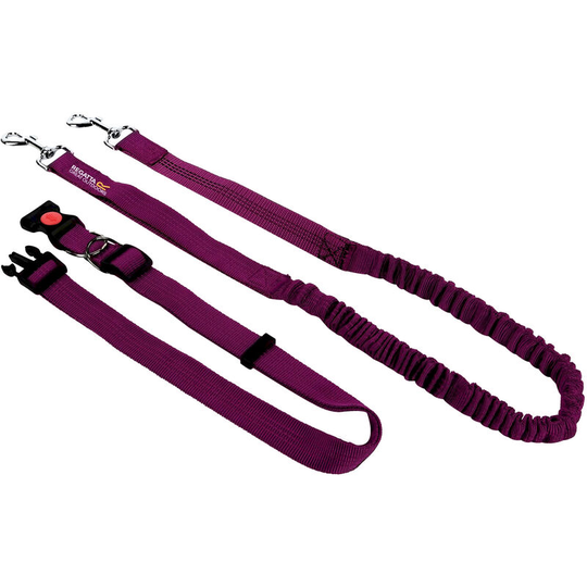 Hands Free Jogging Dog Lead (One Size) (Azalia) - Azalia - Regatta