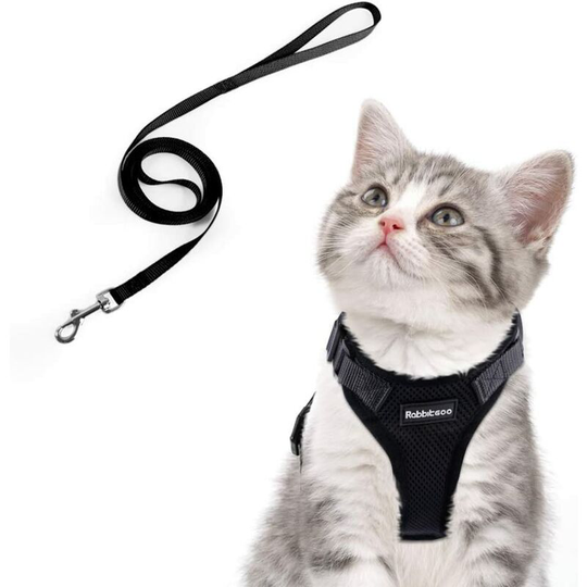 Einemgeld - Cat Small Dog Leash Kitten Harness Adjustable Black xs Reflective Cat Harness Collar Breathable Vest for Rabbit, European Cat, Maine