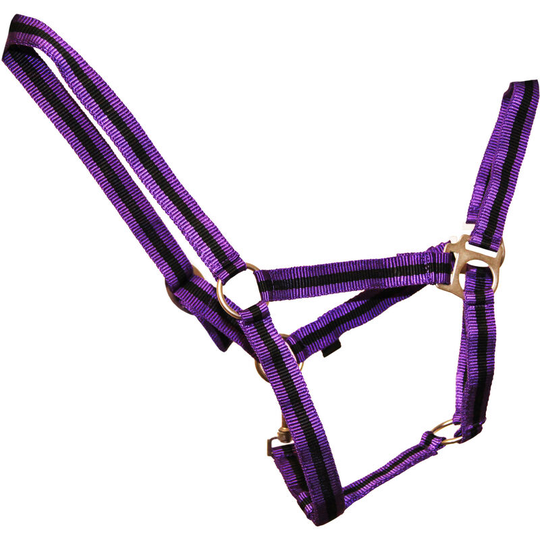 Duo Head Collar (Full) (Purple/Black) - Purple/Black - HY