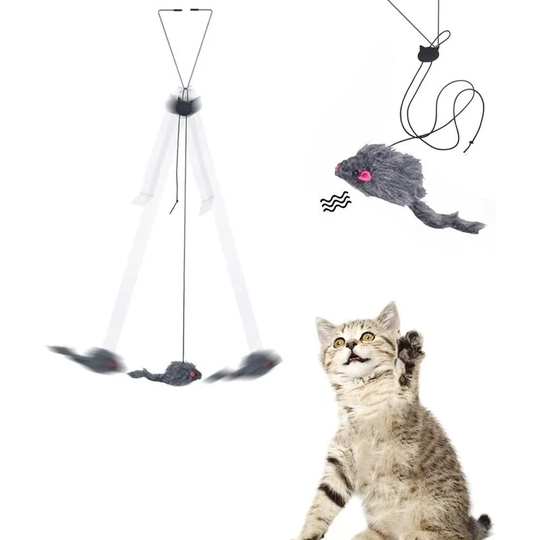 Cat Feather Toy Hang on the Door. Retractable Interactive Cat Toys with 180cm Strap for Diversion Thsinde